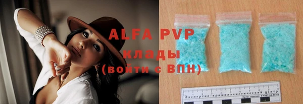 ГАЛЛЮЦИНОГЕННЫЕ ГРИБЫ Суоярви